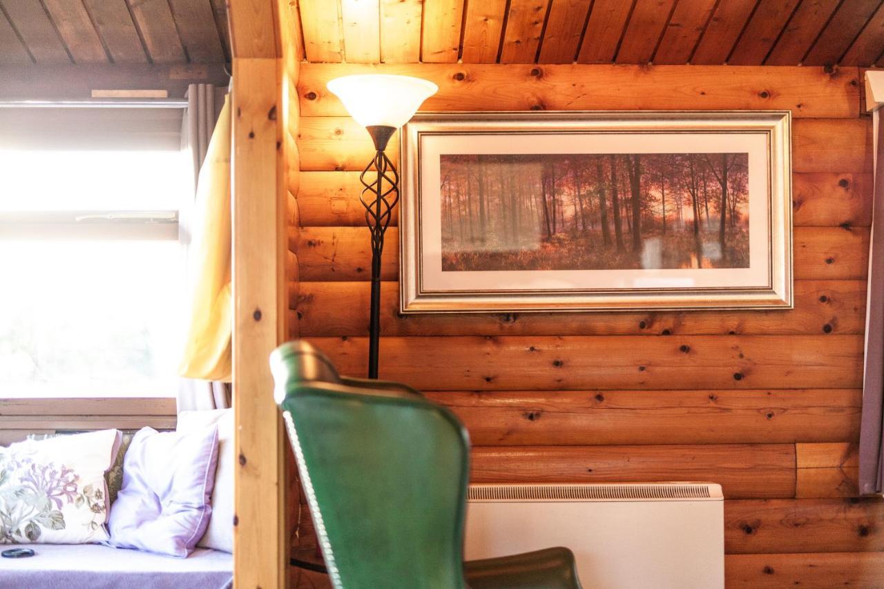 Log Cabin Nestled In The Mountains Of Snowdonia By Seren Property Trawsfynydd Esterno foto